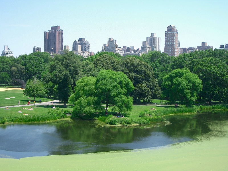 big apple bilder central park deli einreise garment district i am legend interrogation room jersey la guardia macy's madison square manhattan new york newark photograpy photos quarter pounder south seaport wallstreet washington square will smith miss liberty liberty island ny wall street times square big apple bilder central park deli einreise garment district i am legend interrogation room jersey la guardia macy's madison square manhattan new york newark photograpy photos quarter pounder south seaport wallstreet washington square will smith miss liberty liberty island ny wall street times square